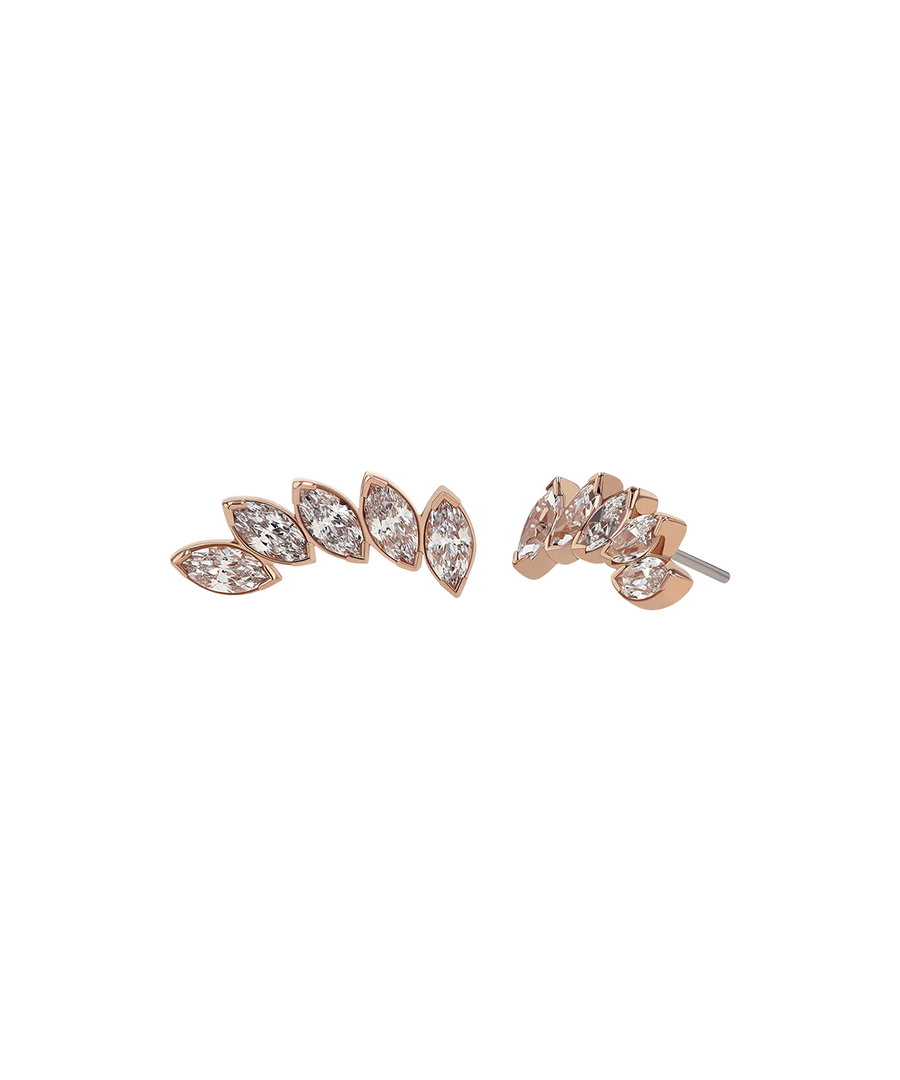 Anatometal Fanfare